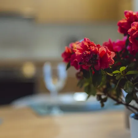 度假居 Reverence Fufin Monterroso